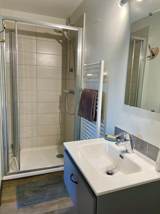Appartement Independant 30 M² A 500M Du Lac, 2 Velos Et Parking Fournis Sévrier Εξωτερικό φωτογραφία