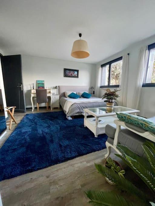 Appartement Independant 30 M² A 500M Du Lac, 2 Velos Et Parking Fournis Sévrier Εξωτερικό φωτογραφία